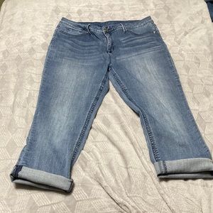 Diane Gilman Cropped Denim